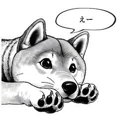 Manga Shiba dog