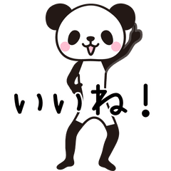 Cute Panda syasosyaso