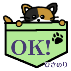 Hisanori's Pocket Cat's  (2)