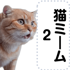 猫ミーム詰め合わせセット2【可愛いネタ】