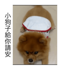 阿多貼圖0