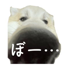 yuka_20240227174600