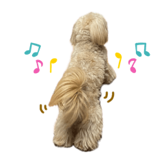 sakura_20240227232247