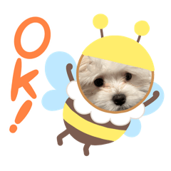 yuka_20240228000420
