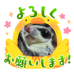 nanamomo_20240228000923