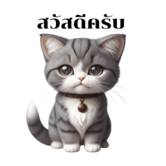 Cat maxxx555