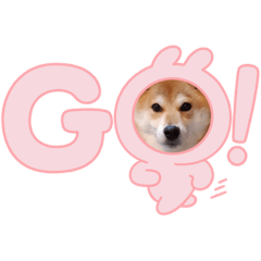 kana_20240228112237