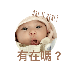萌芽的成長日誌