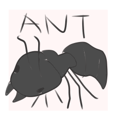 ANT ARI
