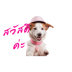 tim tim_20240228113320