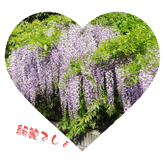 tanuki_20240228155007