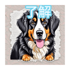 nao_20240228210823