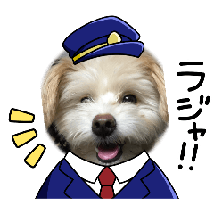 sunny_20240229030716