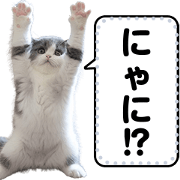 The Fiction AI Cat stamp