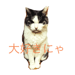 Tony.n_20240228201232