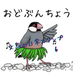 Java Sparrow Daily Life Stickers 6