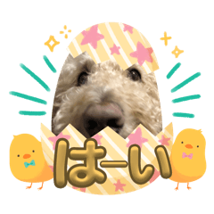 manmaru_20240229072616