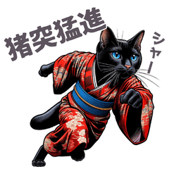 A funny b&w cat dressed in a kimono