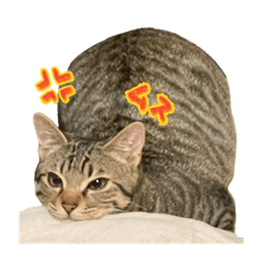 coma-nyoth_20240229024228 – LINE stickers | LINE STORE