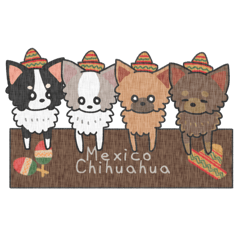 MexicoChihuahuas