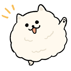 Happy happy Pomeranian