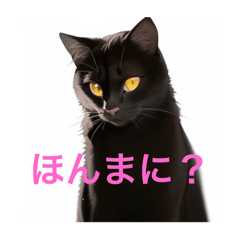 ミナミの猫