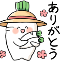 Japanese white radish Megumi-chan