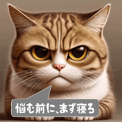 Expressive Cat Stickers 2