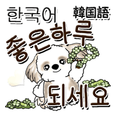 Shih Tzu dog ( It's Korean)