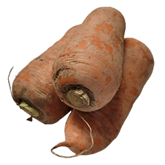 Food Series : Some Carrot #4
