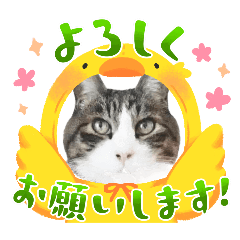 TOSHIYAN_20240229203220