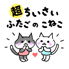 mini Twin Cats