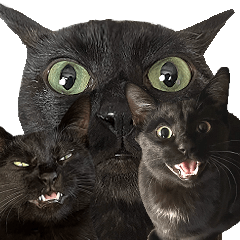 Sticker of black cats playing gacha