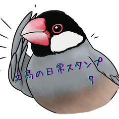 Java Sparrow Daily Life Stickers 7