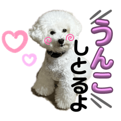 yuri_20240229212336