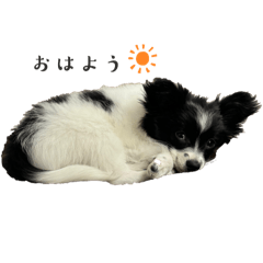 nao_20240301114209