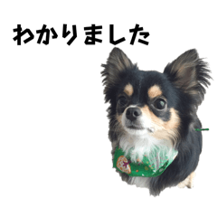 Hanadiru_20240229221612