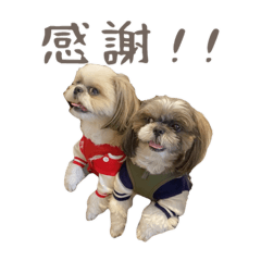 yamazaki_20240229223205