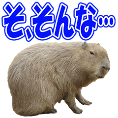Paket Stiker Foto Capybara Lucu 2