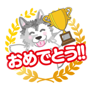 gin_20240301002521