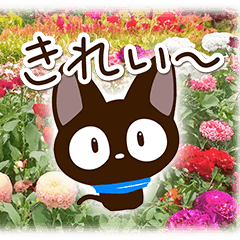 Sticker of Gentle Black Cat29
