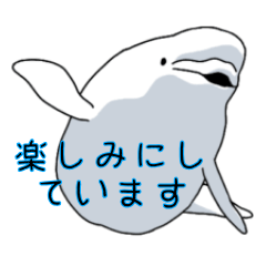 Beluga Whale aquarium