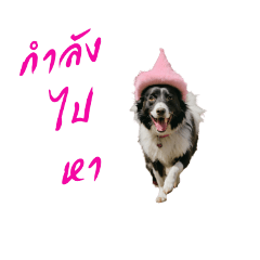 tim tim_20240301122018