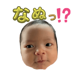 aozora_20240301012402