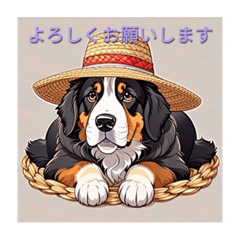 nao_20240229202328