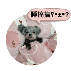 下面一位@