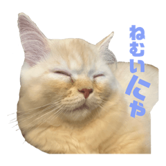 suzu_20240301142618