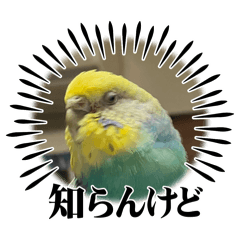 nao_20240301165154