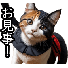 Cat samurai Edokko greeting stamp