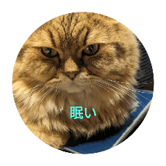 sakura_20240302114152